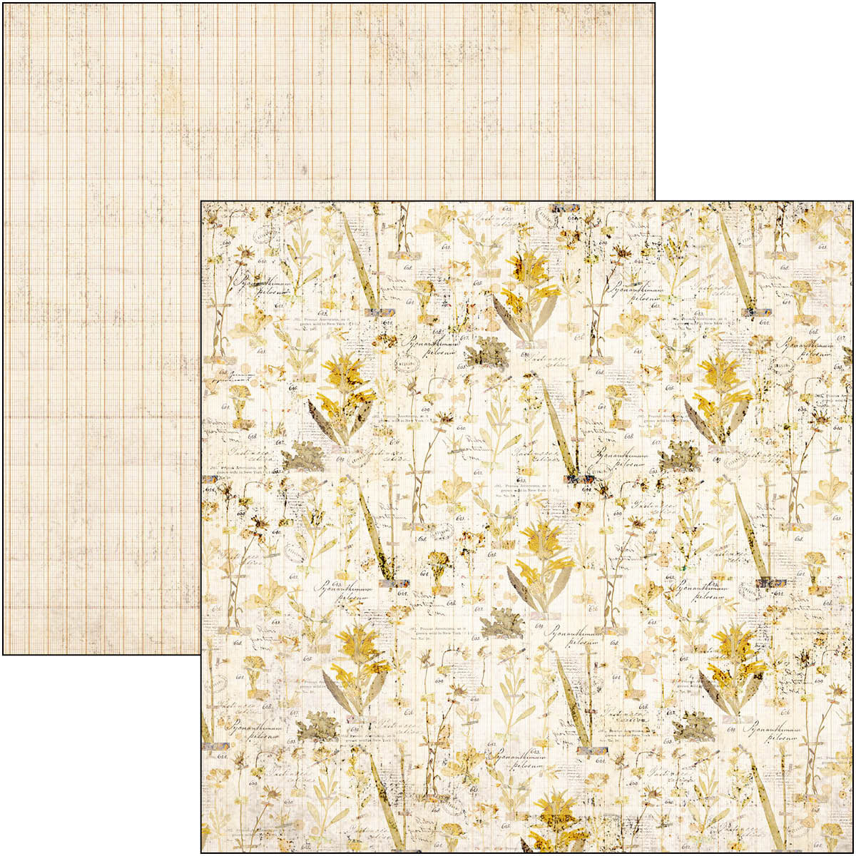 Wizard Academy Paper Pad 12