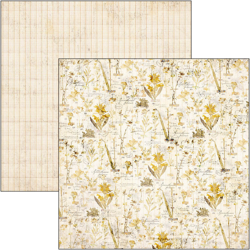 Wizard Academy Paper Pad 12