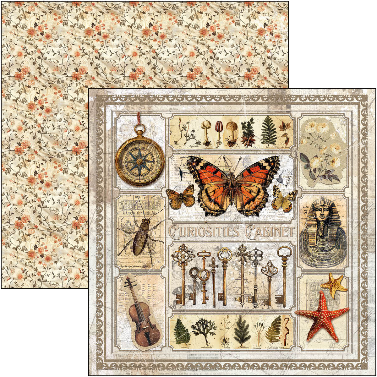 Cabinet Of Curiosities Paper Pad 12
