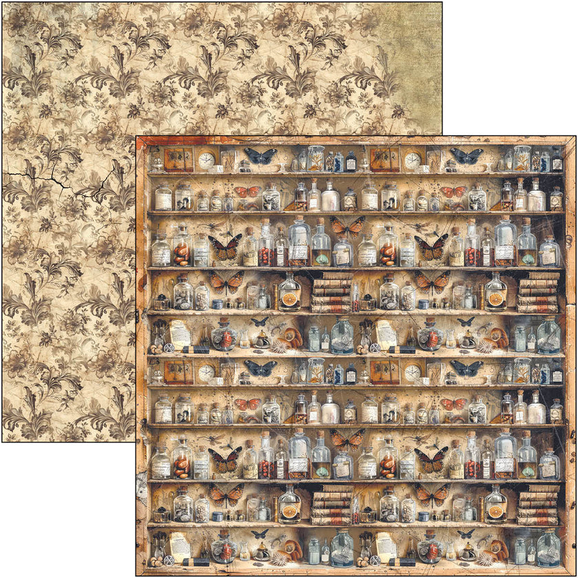 Cabinet Of Curiosities Paper Pad 12