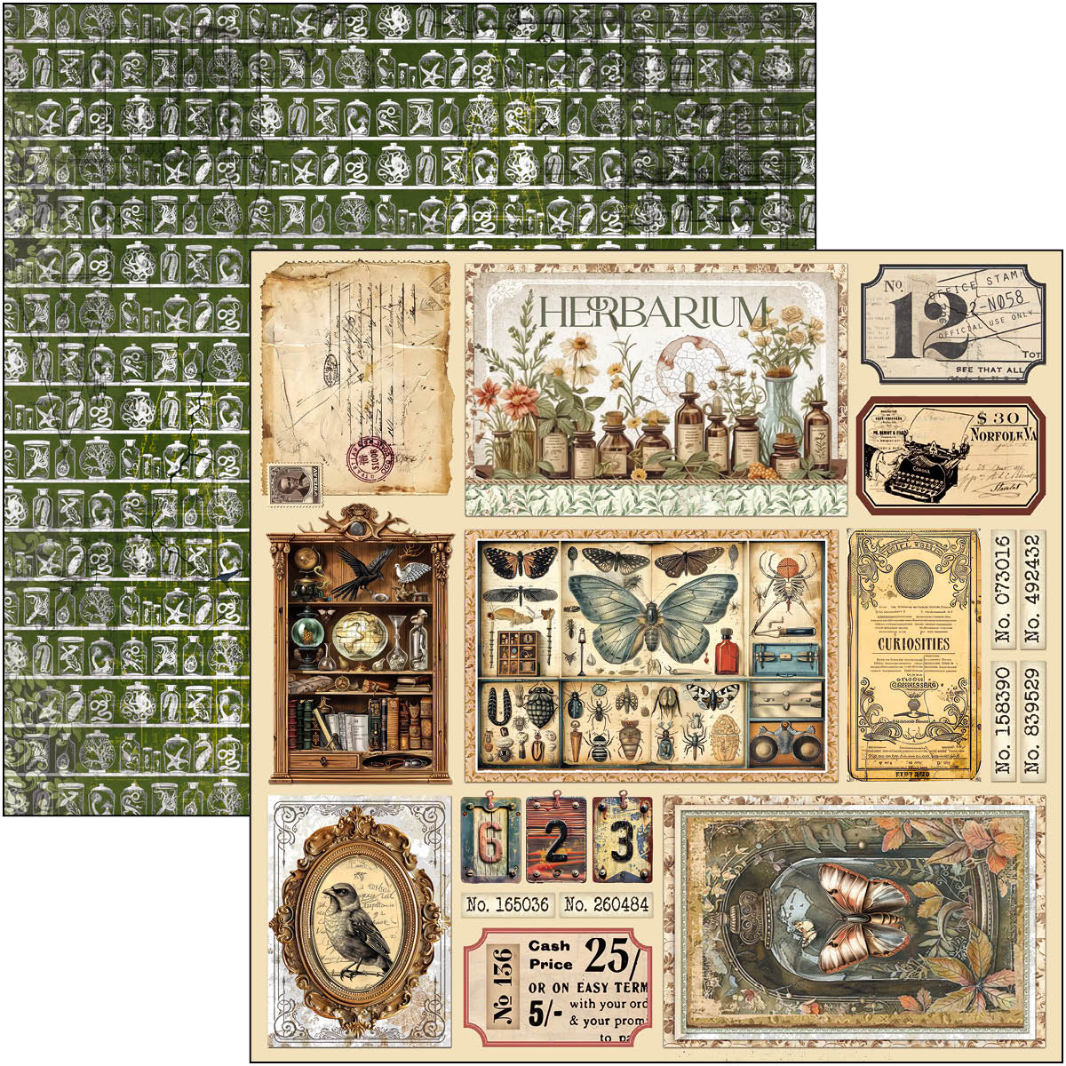 Cabinet Of Curiosities Paper Pad 12