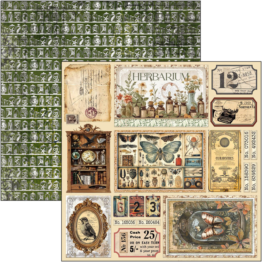 Cabinet Of Curiosities Paper Pad 12