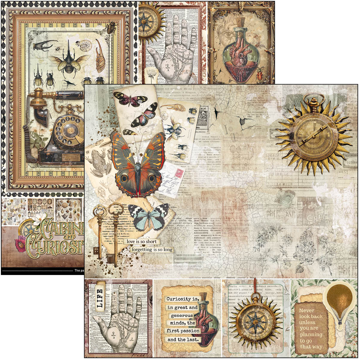 Cabinet Of Curiosities Paper Pad 12