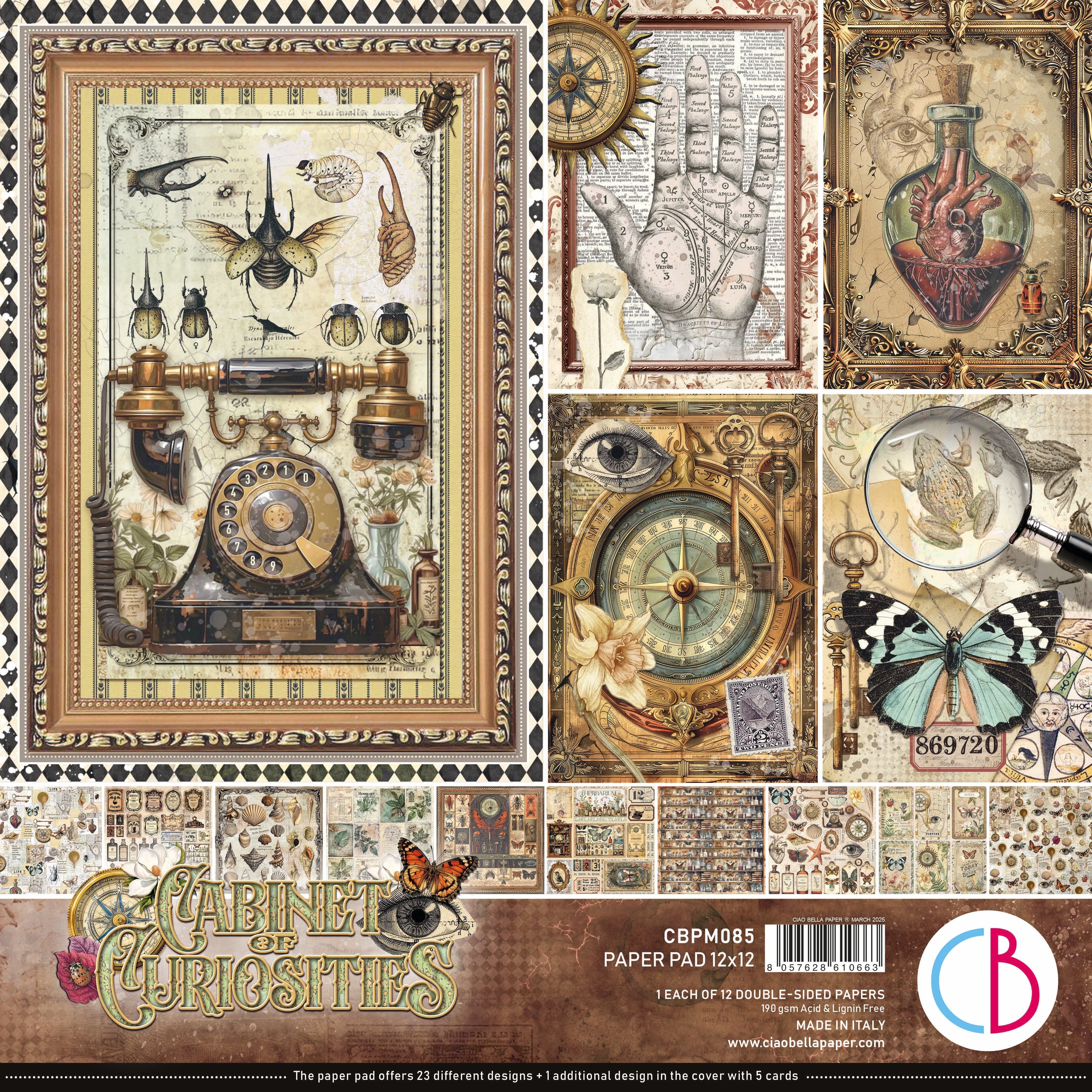 Cabinet Of Curiosities Paper Pad 12