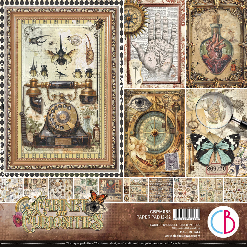 Cabinet Of Curiosities Paper Pad 12