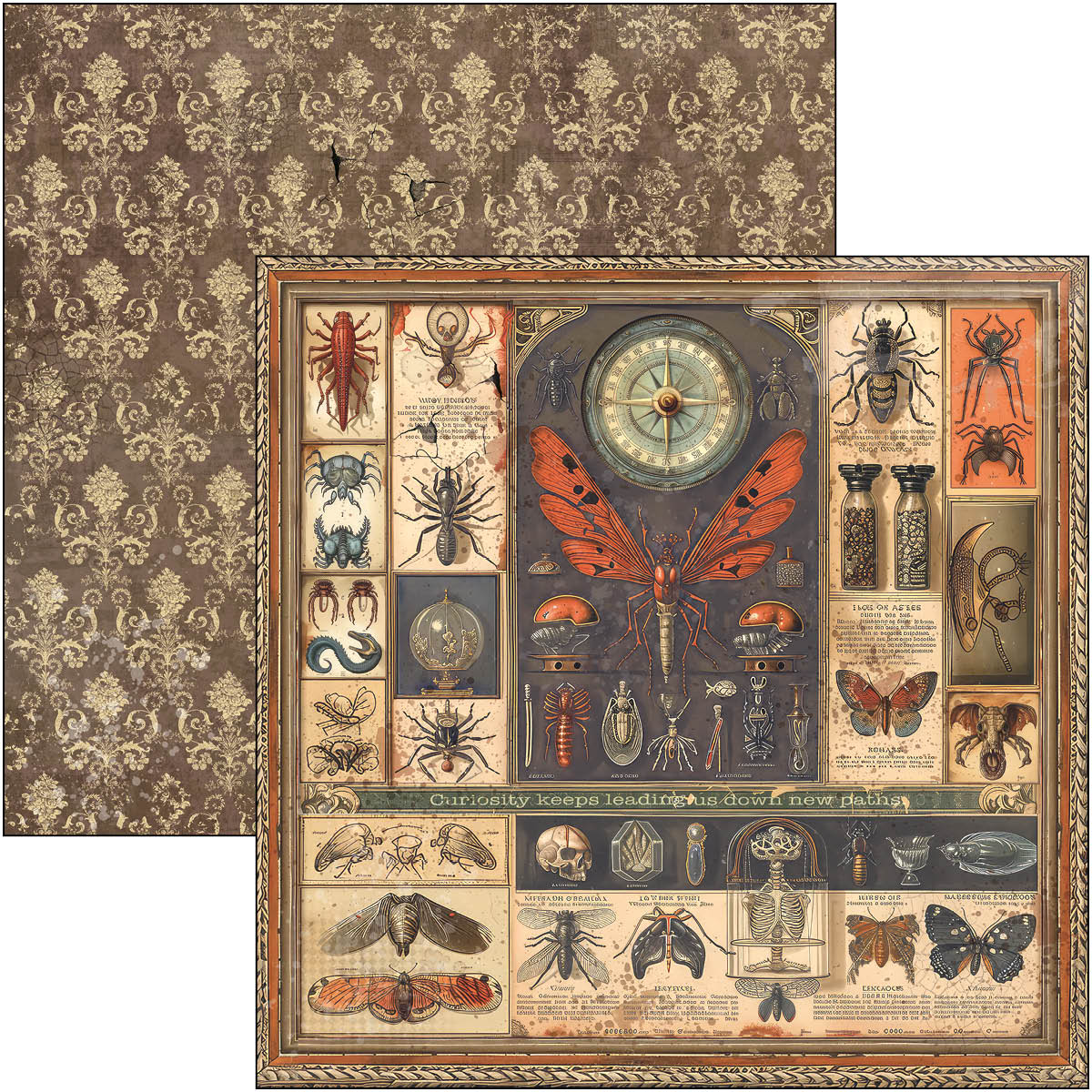 Cabinet Of Curiosities Paper Pad 12