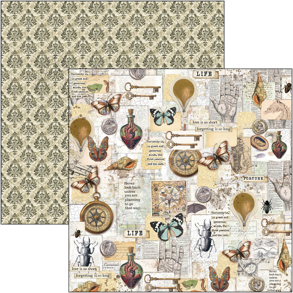 Cabinet Of Curiosities Paper Pad 12