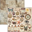 Cabinet Of Curiosities Paper Pad 12