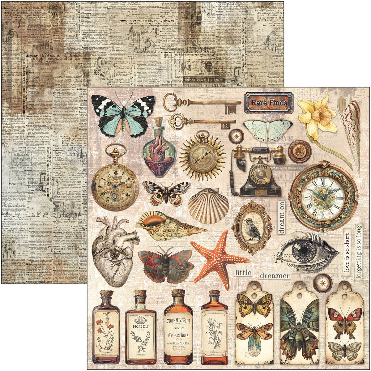 Cabinet Of Curiosities Paper Pad 12