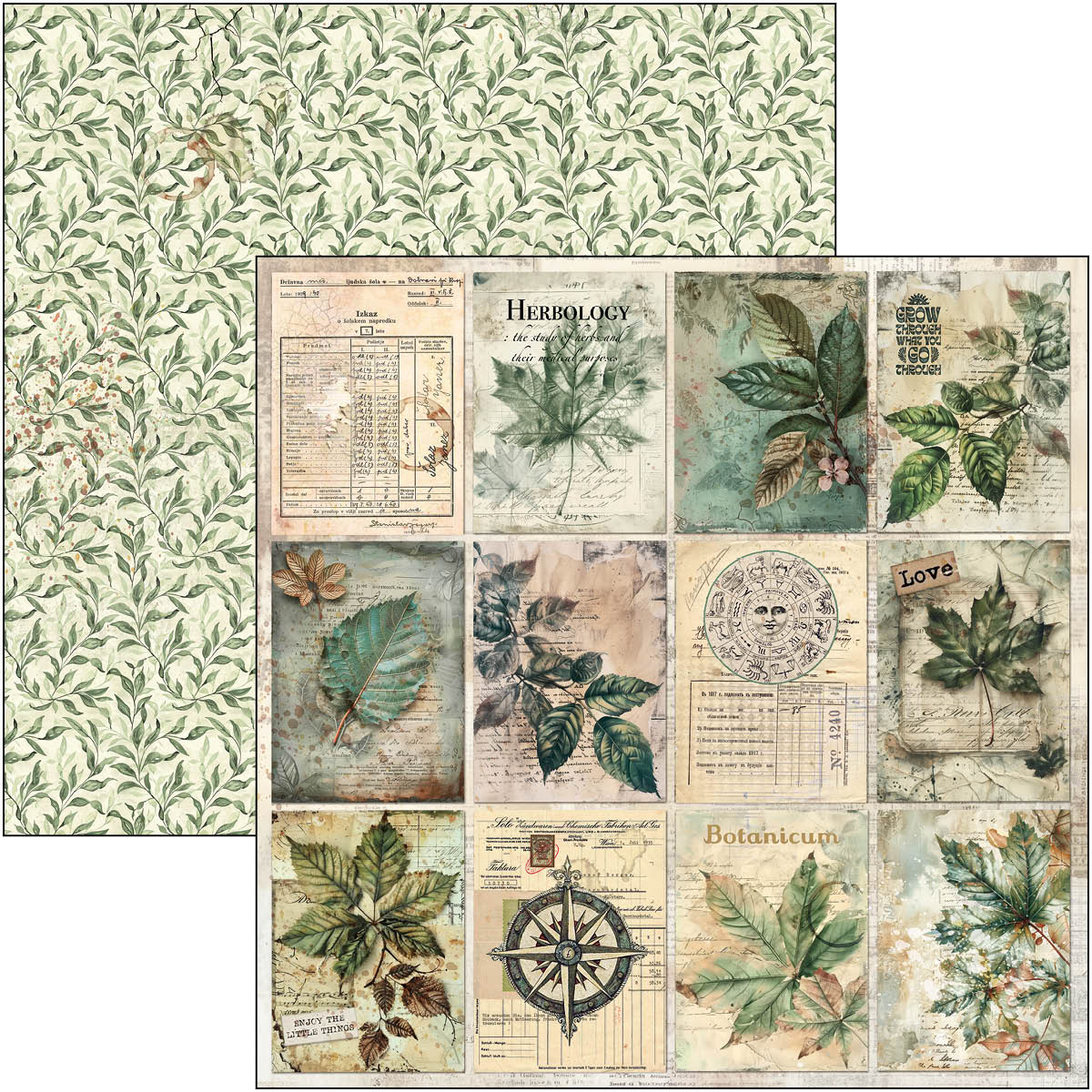 Cabinet Of Curiosities Paper Pad 12