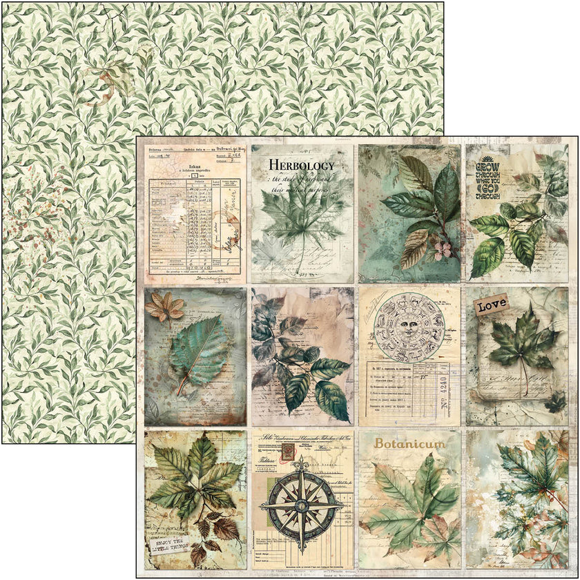 Cabinet Of Curiosities Paper Pad 12