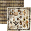 Cabinet Of Curiosities Paper Pad 12