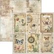 Cabinet Of Curiosities Paper Pad 12