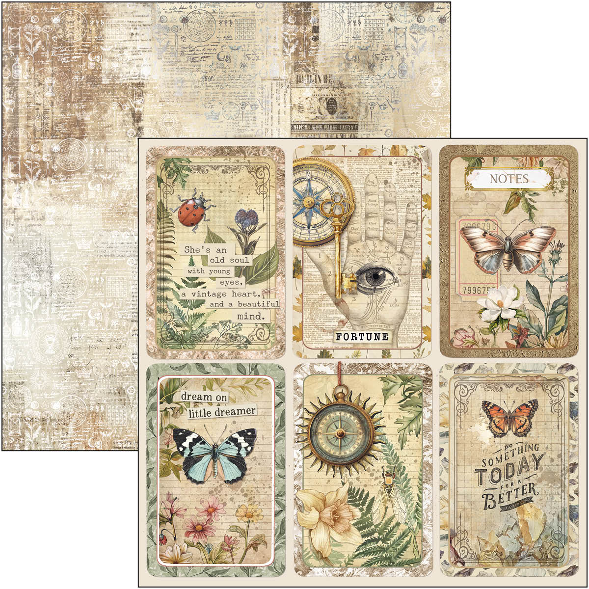 Cabinet Of Curiosities Paper Pad 12
