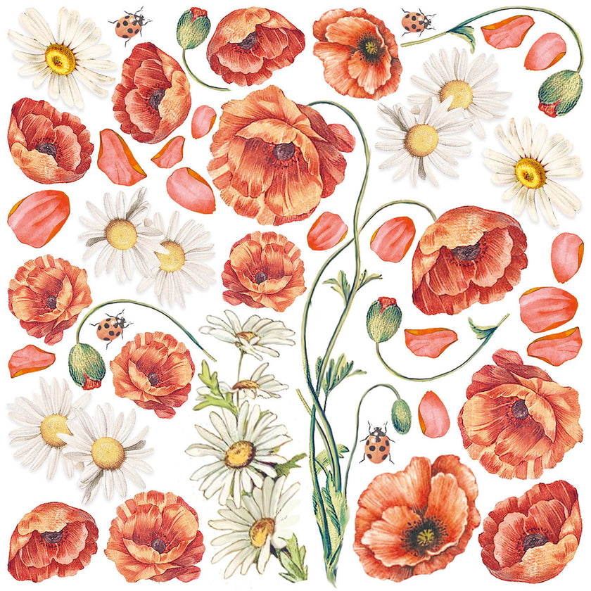 Ciao Bella Enchanted Land Fussy Cut Pad 6