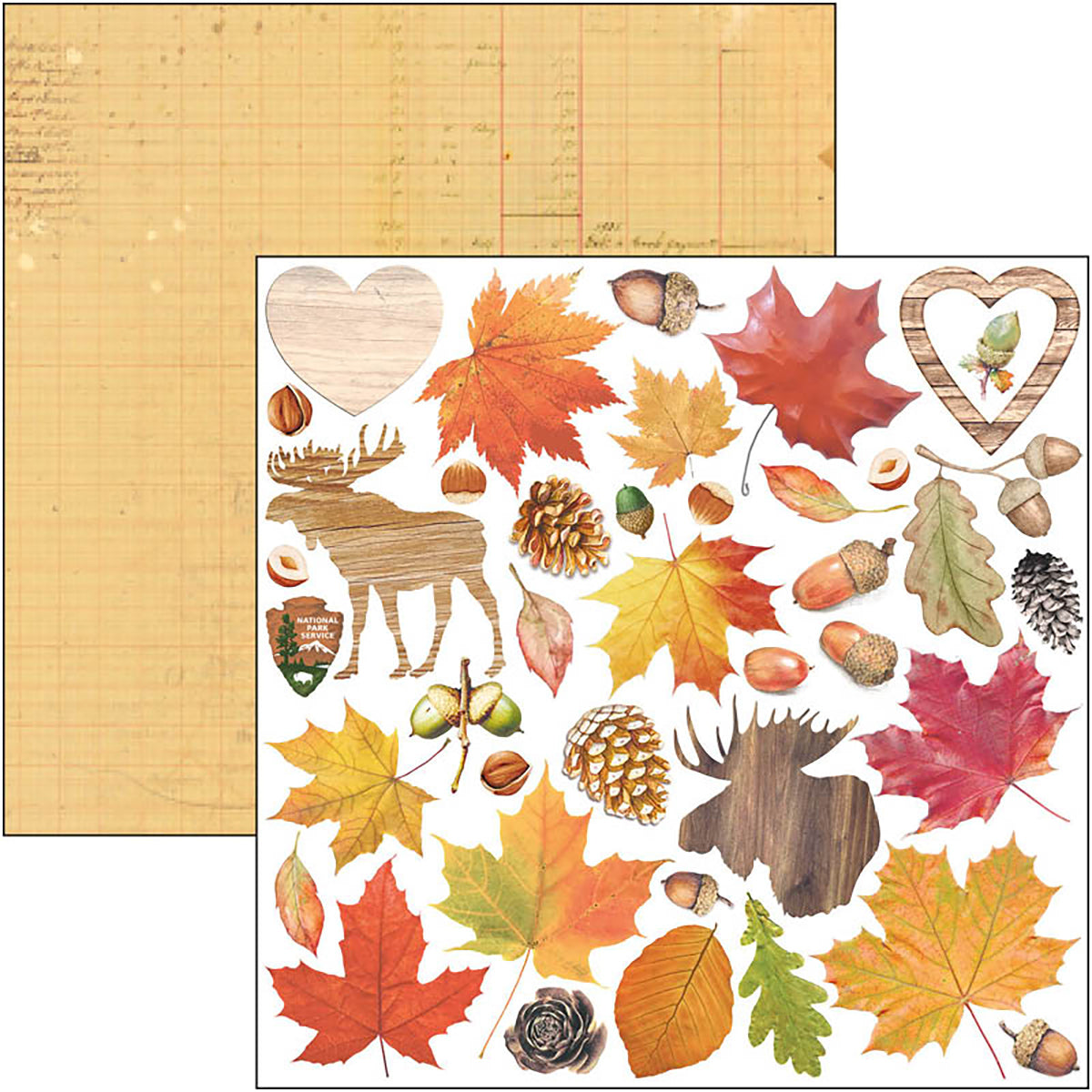 Ciao Bella Into The Wild Fussy Cut Pad 6