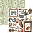 Cabinet Of Curiosities Fussy Cut Pad 6