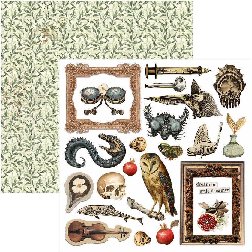 Cabinet Of Curiosities Fussy Cut Pad 6