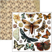 Cabinet Of Curiosities Fussy Cut Pad 6
