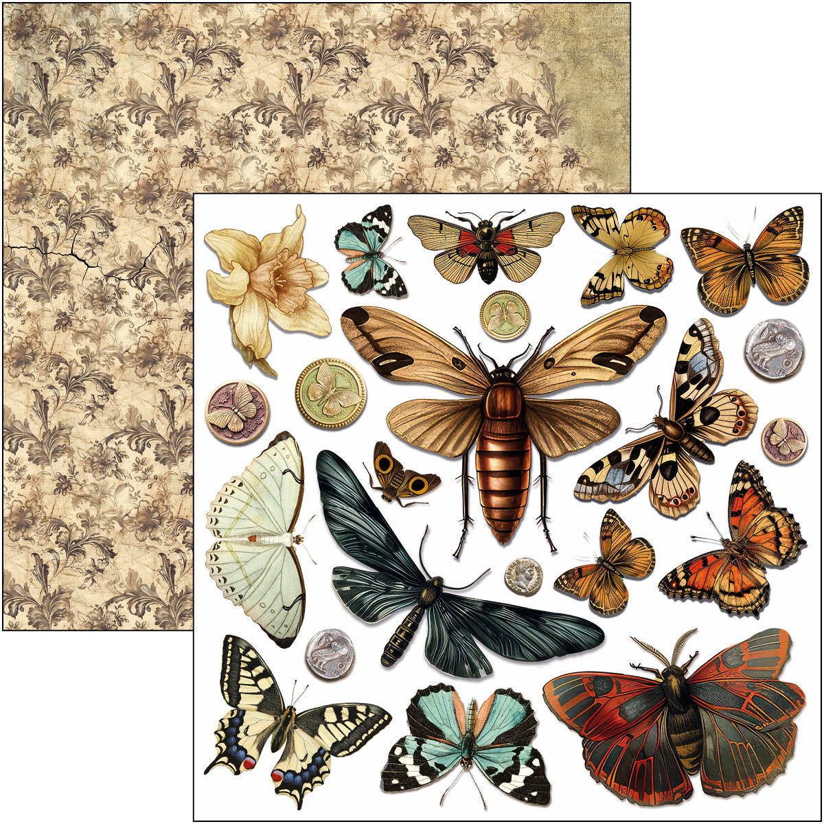 Cabinet Of Curiosities Fussy Cut Pad 6