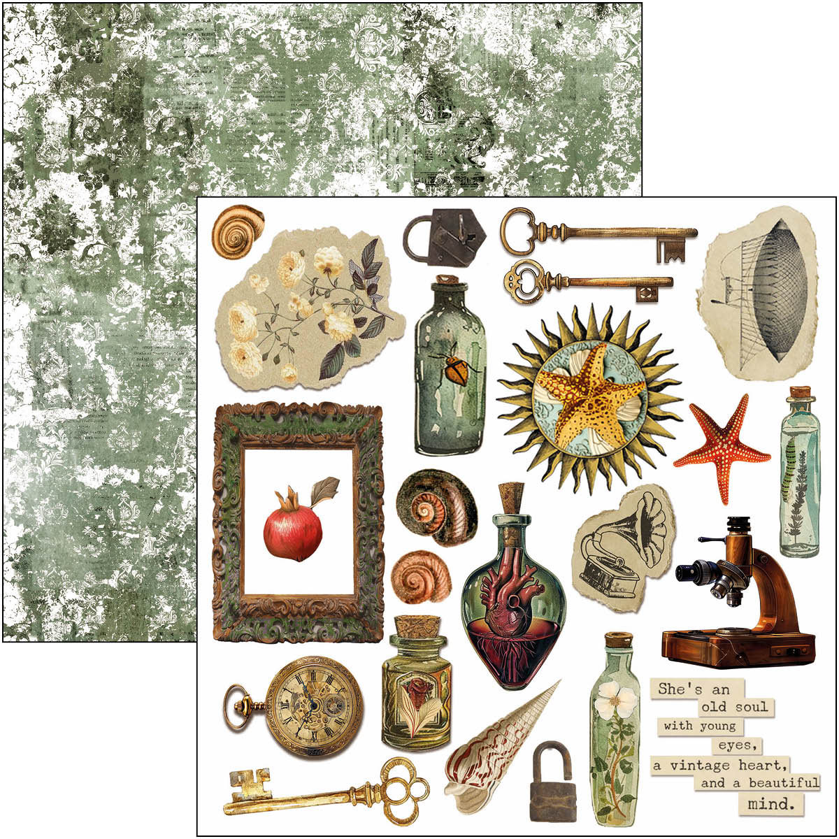 Cabinet Of Curiosities Fussy Cut Pad 6