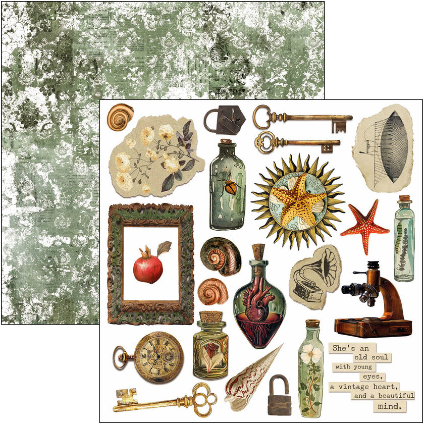 Cabinet Of Curiosities Fussy Cut Pad 6