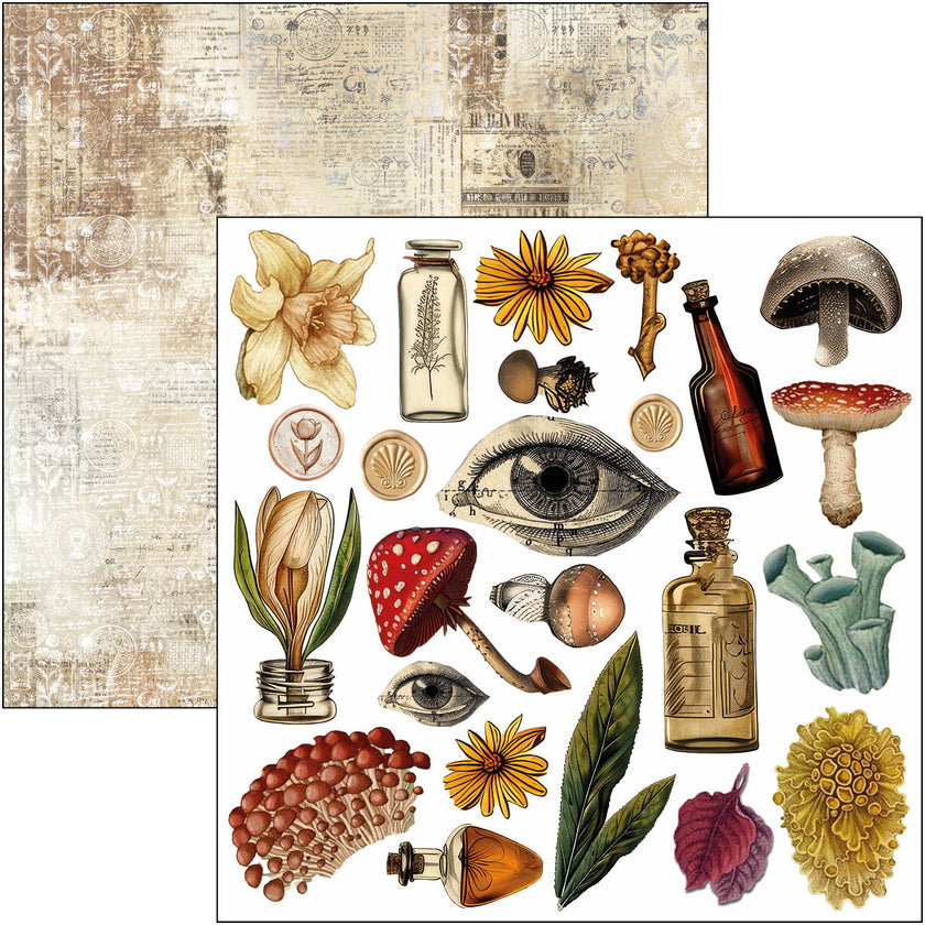 Cabinet Of Curiosities Fussy Cut Pad 6