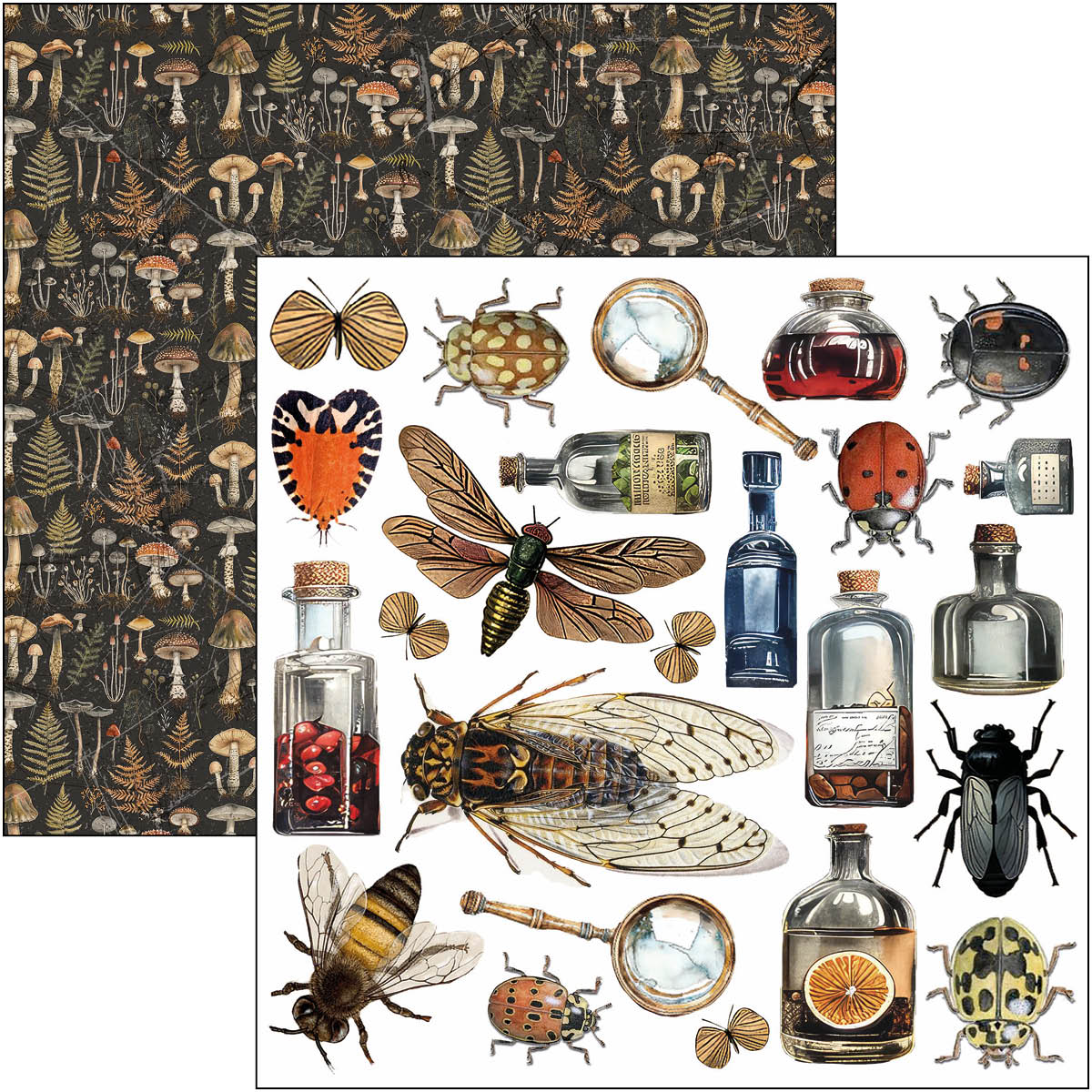 Cabinet Of Curiosities Fussy Cut Pad 6