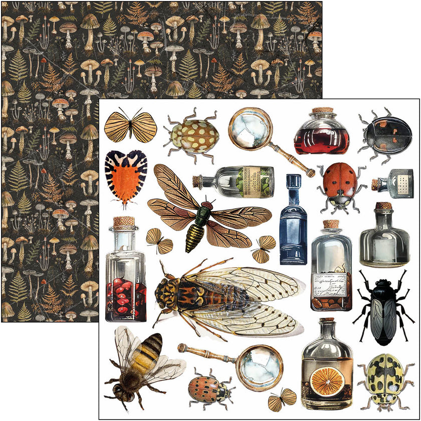 Cabinet Of Curiosities Fussy Cut Pad 6