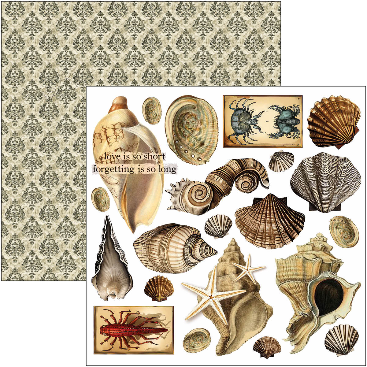 Cabinet Of Curiosities Fussy Cut Pad 6