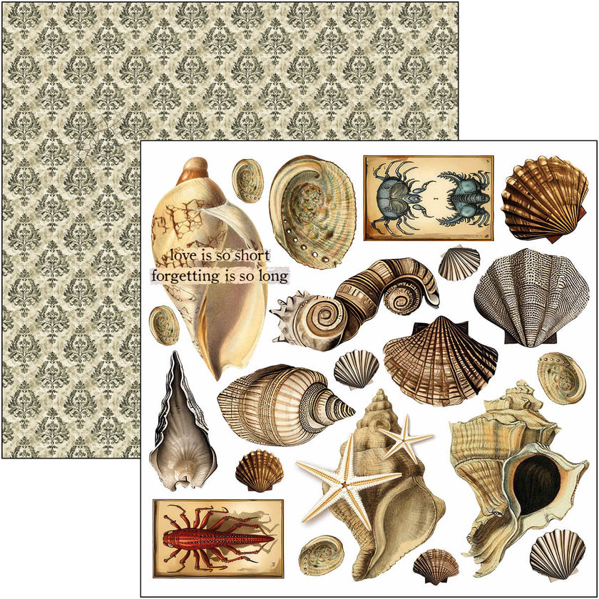 Cabinet Of Curiosities Fussy Cut Pad 6