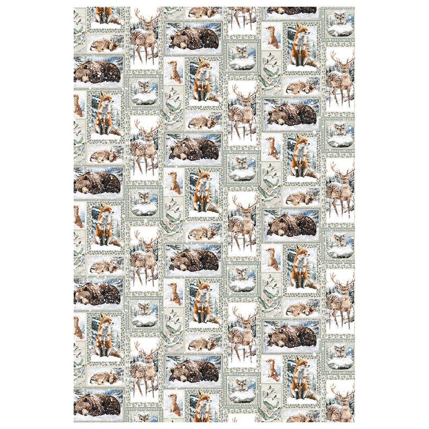 Rice Paper A4 MIXED 4/Pkg Forest Tales