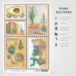 Ciao Bella Rice Paper A4 Sonora Postal Stamps