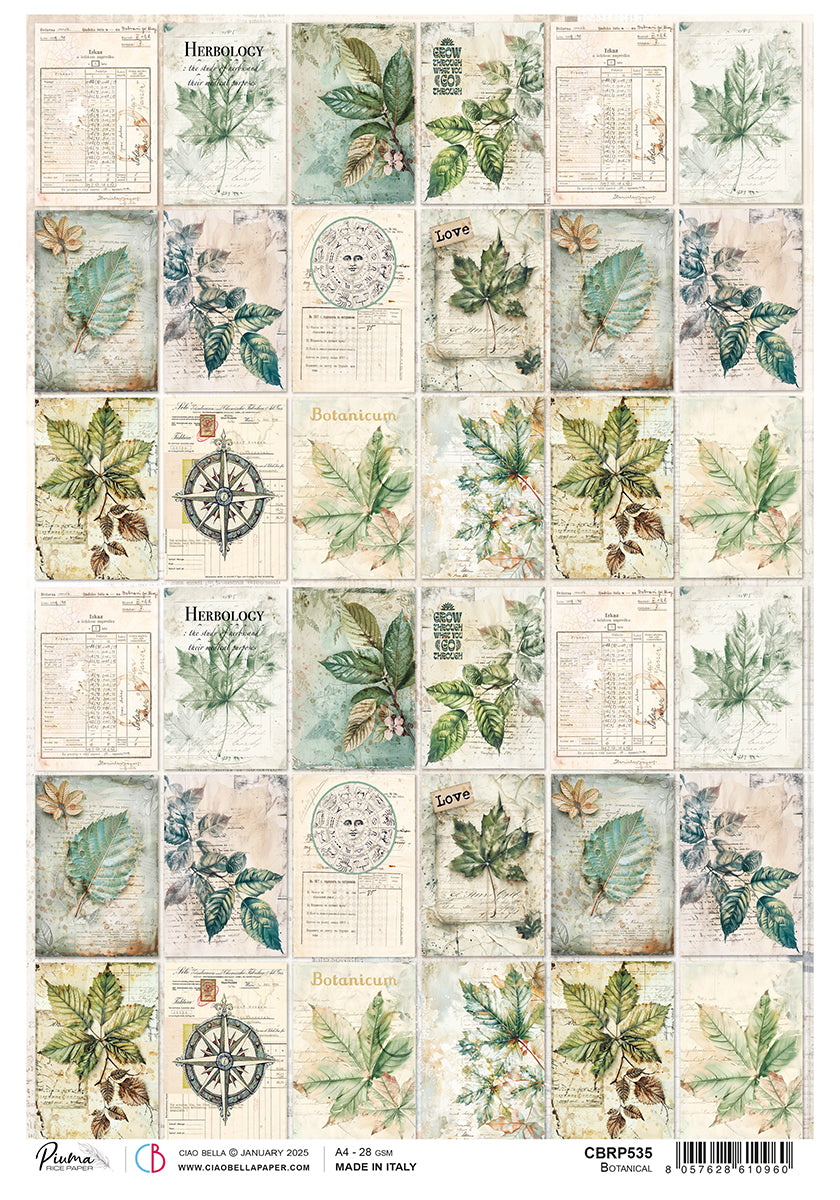 Botanical Rice Paper Shade Rice Paper A4 Botanical - 5 Sheets – こんにちはマート | KON NICHIWA MART