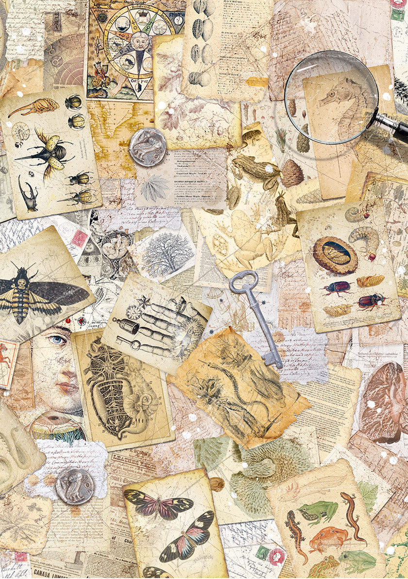 Rice Paper A5 MIXED 8/Pkg Cabinet Of Curiosities