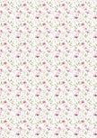 Rice Paper A5 MIXED 8/Pkg Secret Garden