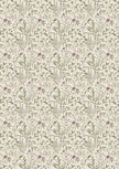 Rice Paper A5 MIXED 8/Pkg Codex