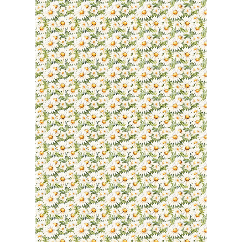 Rice Paper A5 MIXED 8/Pkg Woodland Party