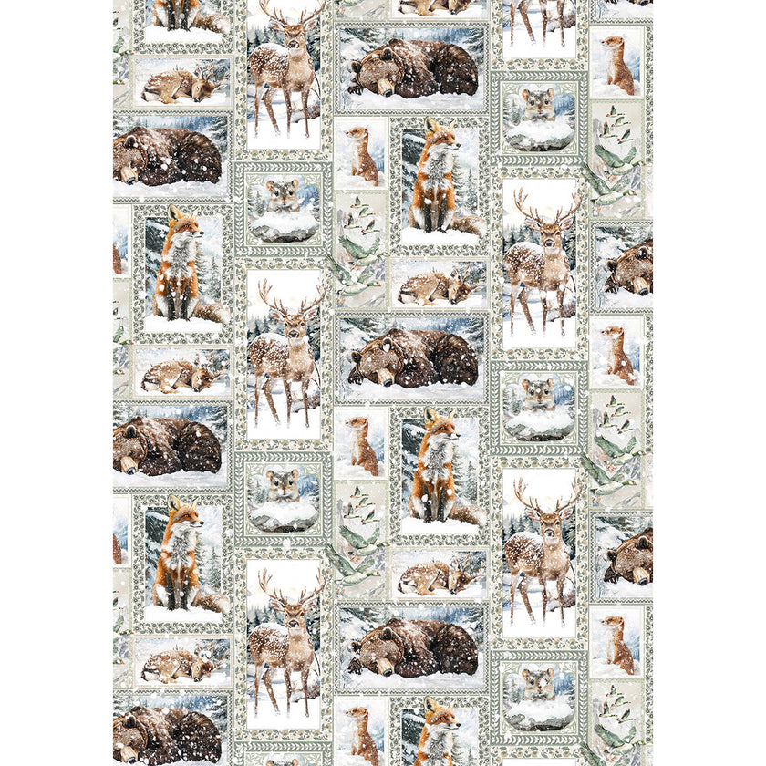 Rice Paper A5 MIXED 8/Pkg Forest Tales