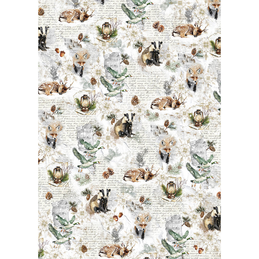 Rice Paper A5 MIXED 8/Pkg Forest Tales