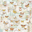 Ciao Bella Enchanted Land Patterns Pad 12