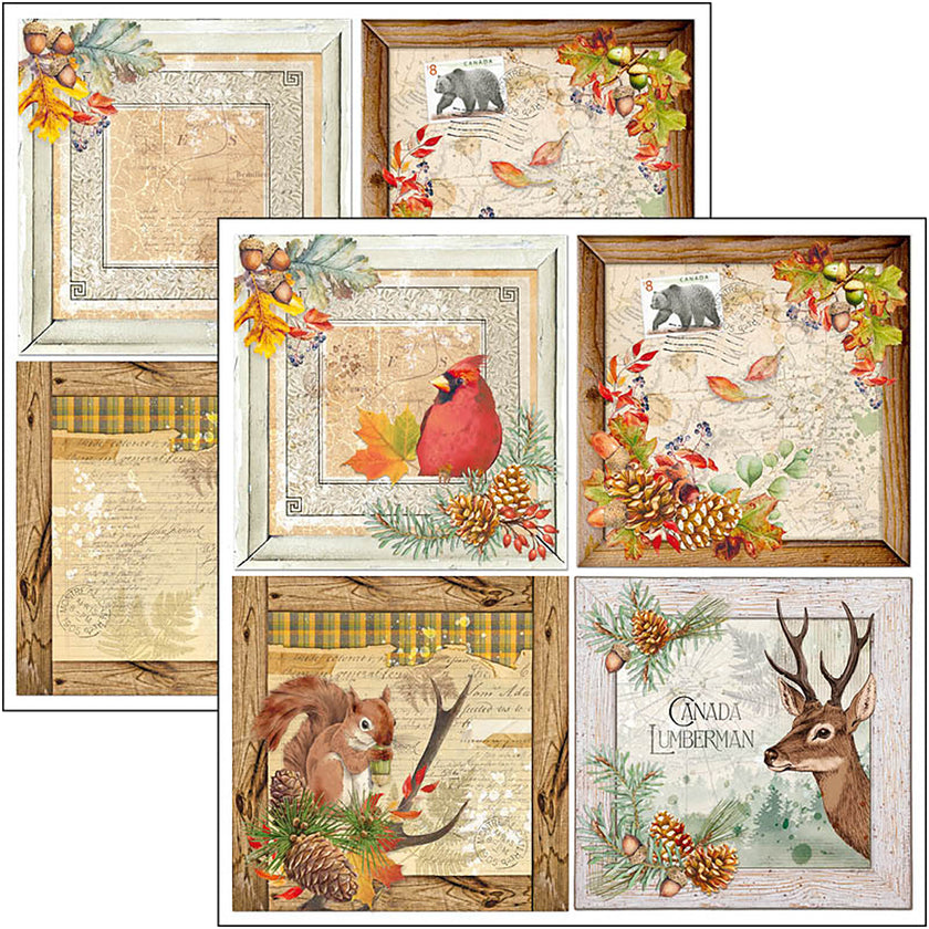 Ciao Bella Into The Wild  Patterns Pad 12