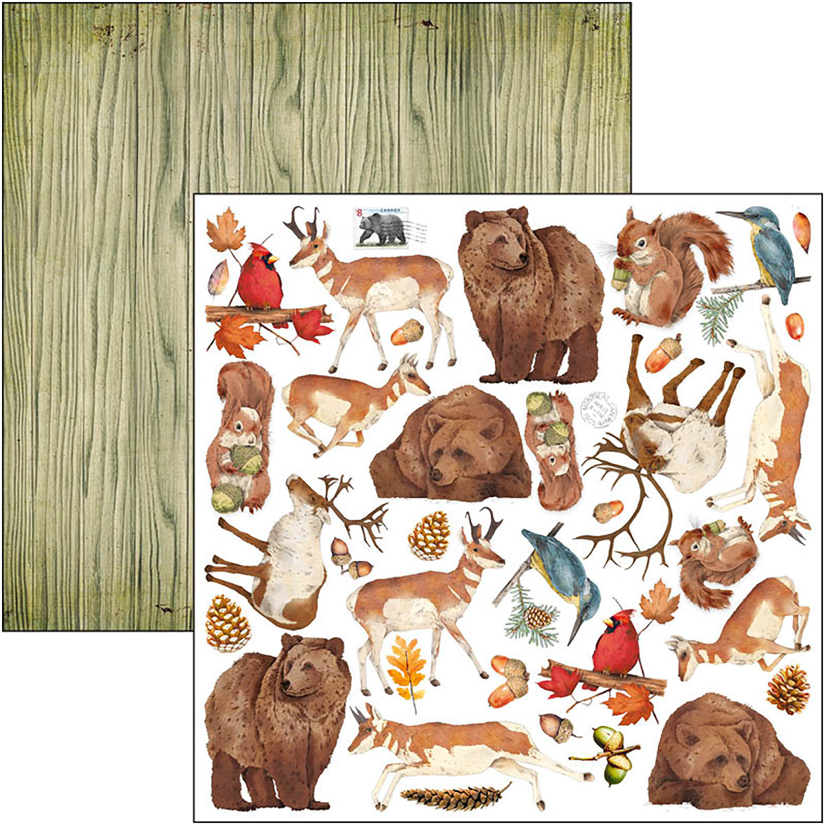 Ciao Bella Into The Wild  Patterns Pad 12