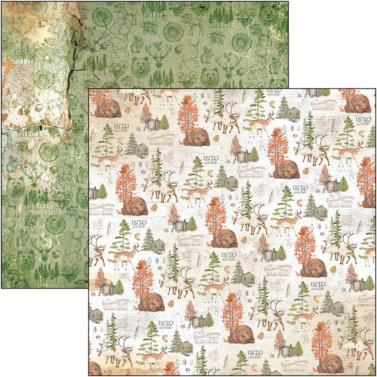 Ciao Bella Into The Wild  Patterns Pad 12