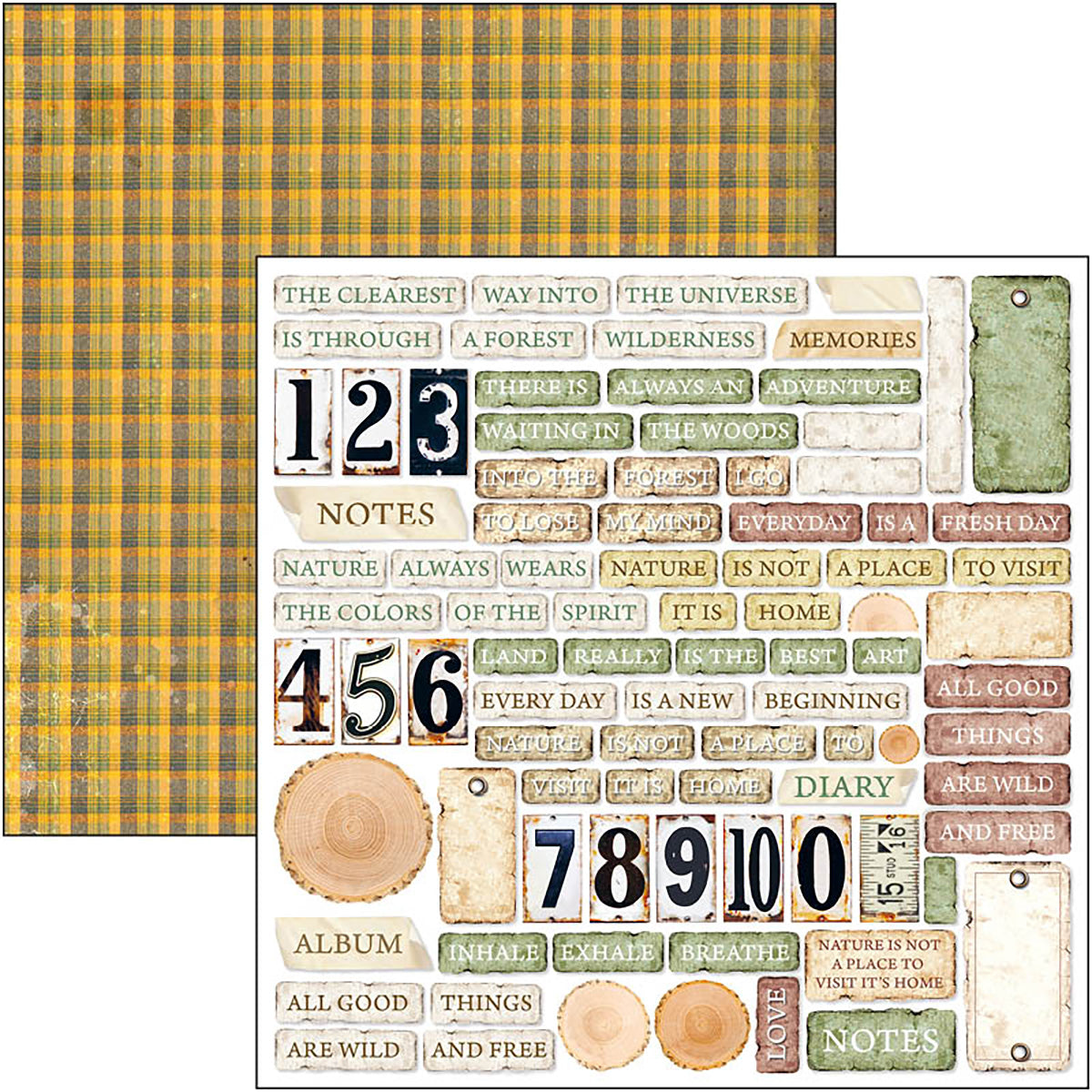 Ciao Bella Into The Wild  Patterns Pad 12