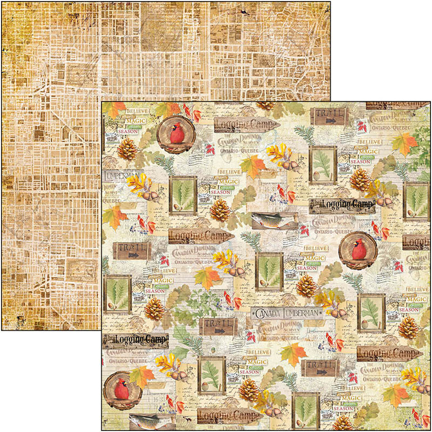 Ciao Bella Into The Wild  Patterns Pad 12