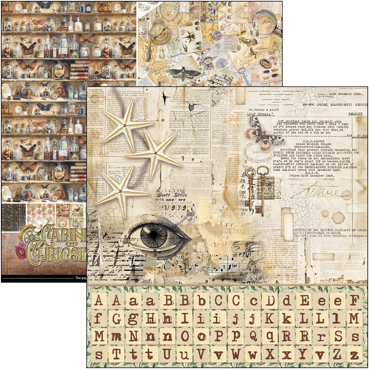 Cabinet Of Curiosities Patterns Pad 12