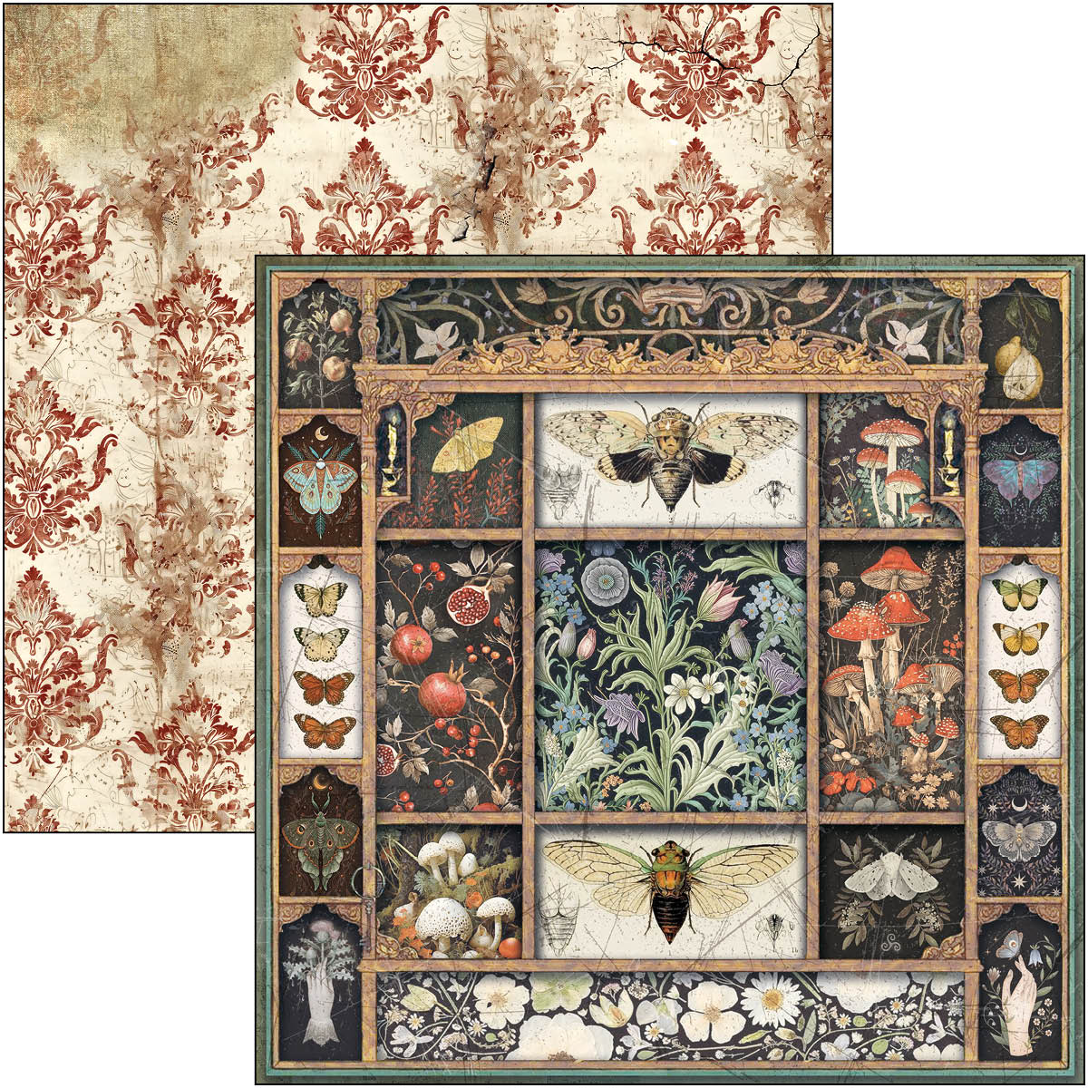 Cabinet Of Curiosities Patterns Pad 12