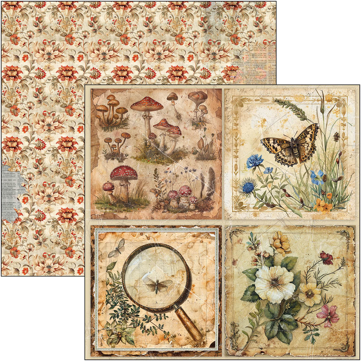 Cabinet Of Curiosities Patterns Pad 12
