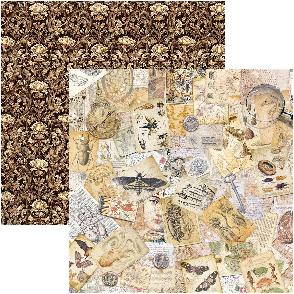 Cabinet Of Curiosities Patterns Pad 12
